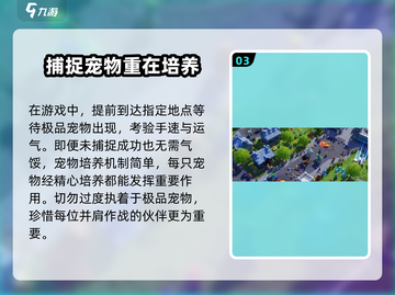 魔力宝贝复兴🔥宠物刷新点全攻略✨截图4