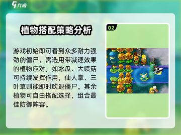 植物大战僵尸杂交版第20关🔥通关秘籍来了！截图3
