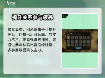 《大侠立志传》斗鸡玩法🔥超详细攻略来了！新手必看👇截图4