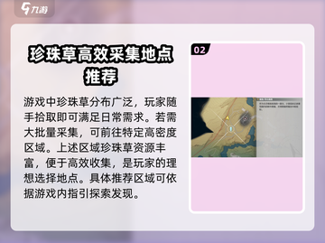 鸣潮🔥珍珠草作用及快速收集攻略💎截图3