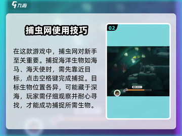 潜水员戴夫捕虫网获取攻略✨带你轻松捕虫！截图3