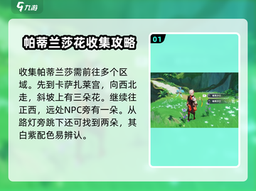 原神玩家必看！帕蒂莎兰采集位置大公开🔥截图2