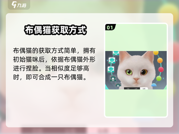 超喵星计划：轻松获取布偶猫💎，新手必看！截图2