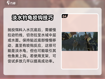 钓鱼星球🔥Rocky湖淡水龟爆护技巧分享！🐢截图5