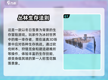 🔥2025最受欢迎孤岛生存游戏下载推荐🎮截图8