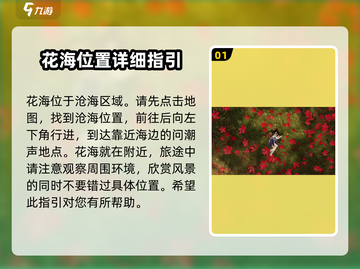 《扶摇一梦》花海位置大起底！🔥速来打卡游戏最美秘境🌸截图2