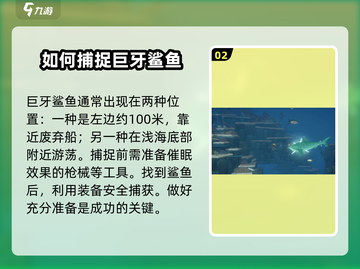 潜水员戴夫鲨鱼捕捉🔥手游终极攻略来啦！截图3