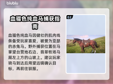 荒野大镖客PC版最强🔥马匹推荐！😎截图3