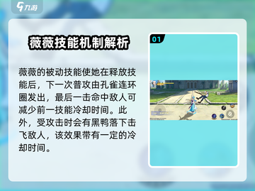 航海王壮志雄心：薇薇玩法大揭秘💥截图2
