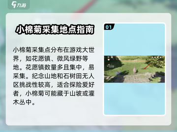 无限暖暖🔥小棉菊采集攻略✨玩家必看！截图2