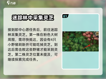 大侠立志传🔥迷踪林灵芝位置全解密！💡截图2