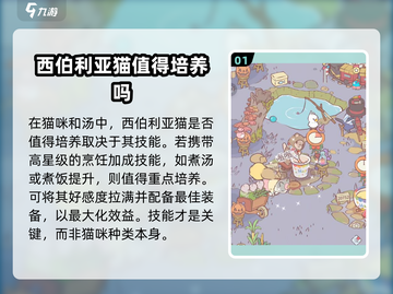 猫咪和汤西伯利亚猫养成🔥游戏秘籍大公开！🐾截图2