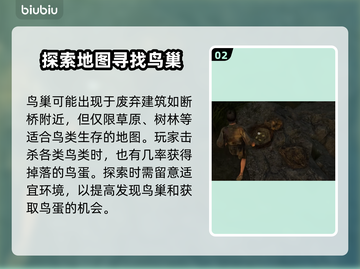战国王朝：快速获取鸟蛋的秘籍🔥🥚截图3