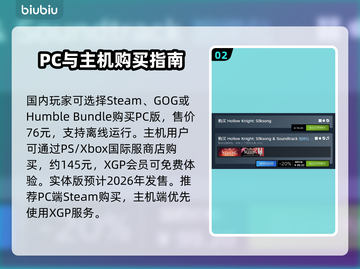 《空洞骑士》新作上线！🎮截图3