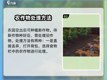 🎮《沙石镇时光》农作物更换技巧大公开！🌱截图3
