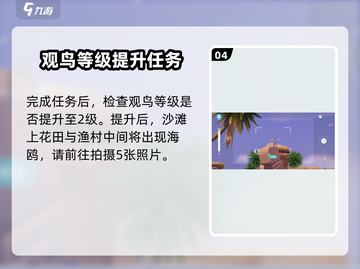 心动小镇🔥海鸥拍照任务全流程攻略💡截图5