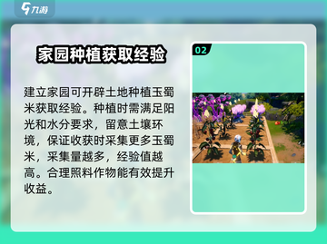 🔥创造吧我们的星球⚡快速刷经验方法大公开！🌟截图3