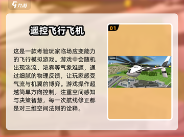 ✈2025必玩飞行游戏合集，顶级模拟等你来战！截图2