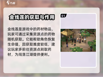 大侠立志传🔥金线莲获取攻略，超简单方法分享！截图2