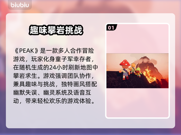 🎮Peak加速器闪退黑屏？选对加速器太关键！截图2