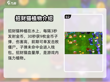 植物大战僵尸杂交版💥招财猫养法超详细攻略来啦！猫🐱截图3