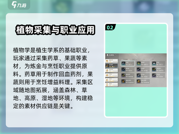 《星痕共鸣》生活职业大揭秘！🎮🔥截图3
