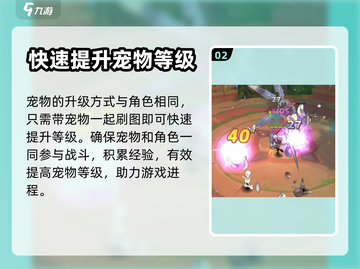 空之勇者手游🔥宠物升星秘籍大曝光！✨截图3