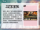 🔥超好玩的单机战略游戏推荐🎉截图2