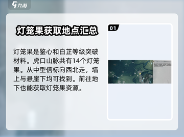 鸣潮⚡灯笼果位置全解密！快收藏🎉截图2