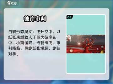 🔥火影手游漂泊小南逆天改命！💥截图9