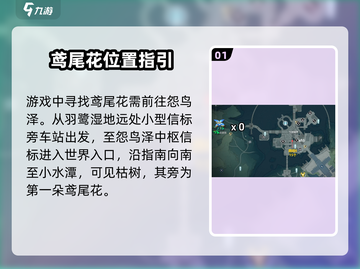 鸣潮🔥鸢尾花位置全攻略💎快速获取不迷路！截图2