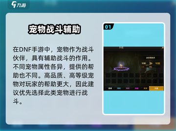 🔥DNF手游宠物玩法全攻略！新人玩家必看✨截图2