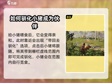 荒野起源🔥养猪攻略：快速养猪称霸游戏✨截图4