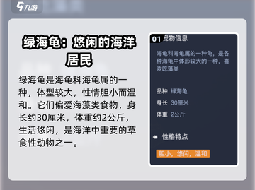 黎明之海💥绿海龟宠物获取方式大揭秘！✨截图2