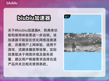辐射4卡顿？用这个加速器畅玩🔥🎮截图2