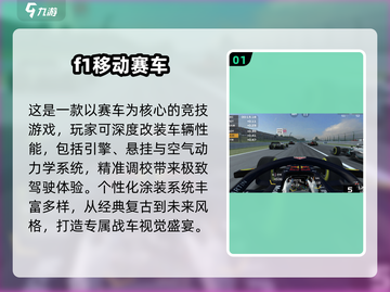 🔥2025必玩F1赛车游戏大揭秘！🏎截图2