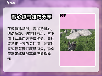 燕云十六声🔥秦马捕捉超全攻略🎉截图4