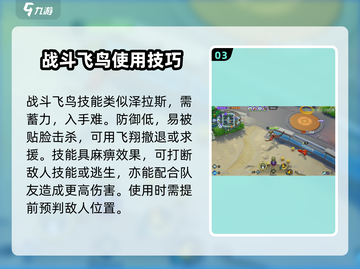 宝可梦大集结🔥战斗飞鸟进化路线全揭秘！👇截图4