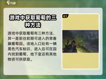 七日世界💥葡萄获取全攻略🍇玩家必看！截图2