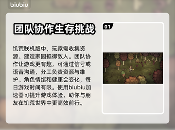 饥荒联机版🔥加速器安装地址分享🎉截图2