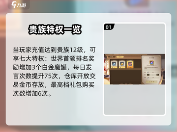 《勇士与冒险》贵族12级特权曝光！👑💥截图2