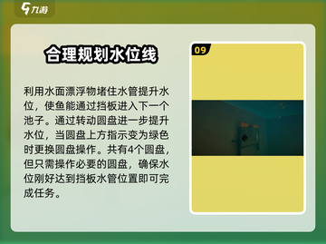 我是小鱼儿食人鱼🔥过关秘籍分享🎉截图10