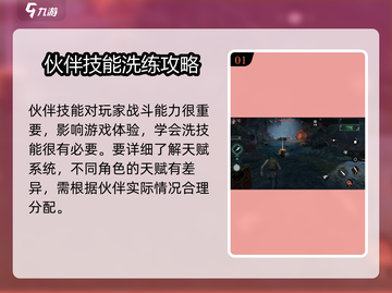 代号56伙伴洗技能方法💎 partner技能重置技巧游戏名必备！截图2