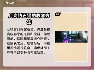 七日世界🔥月亮钻石猫收容物超强攻略💎截图3