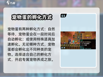 护核纪元孵蛋🔥超全攻略来啦！🎮快看截图4