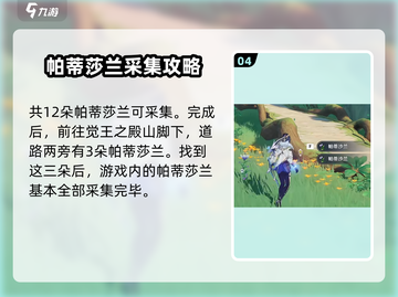 原神🔥帕蒂莎兰采集位置全解！速来获取✨截图5