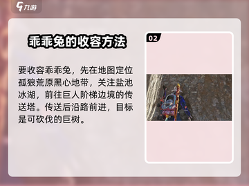 七日世界✅乖乖兔收容攻略，轻松搞定兔子🎉截图3