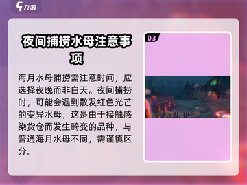 渔帆暗涌手游🔥海月水母抓取攻略✨截图4
