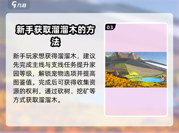 心动小镇🔥溜溜木获取攻略💎截图4