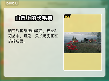 浪人崛起🔥拍摄家犬任务怎么完成？💡截图3
